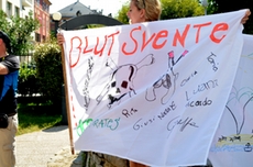 Welche Flagge ist die Schönste?