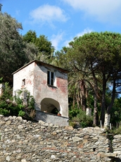 Impressionen bei Wanderungen in der Cinque Terre