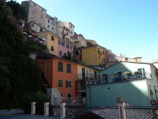 Manarola in der Cinque Terre