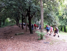 Gemütliche Abschnitte wechseln sich ab mit herausfordernden Anstiegen