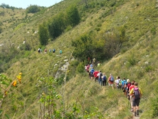 Die Wanderwege führen durch endlose Landschaften