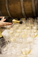 Ein professioneller Sommelier begleitet das Event